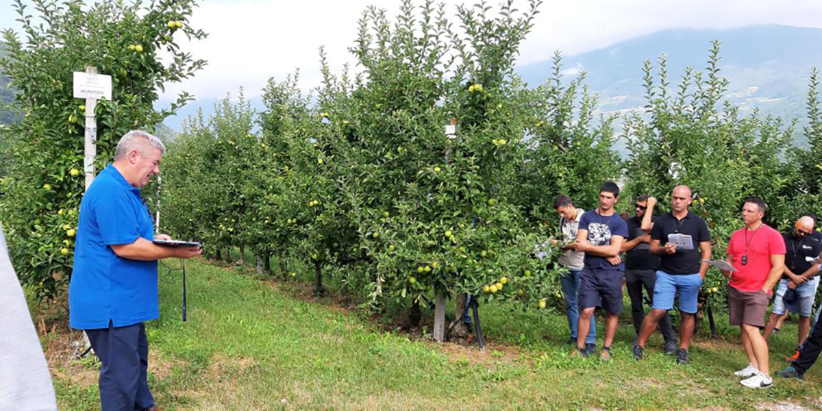 FEM, presentati i principali risultati delle prove in frutticoltura